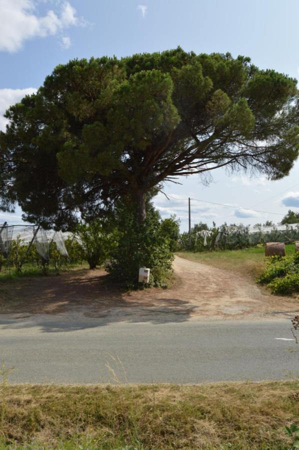 Gite Rural De Caractere Guérin Exterior foto